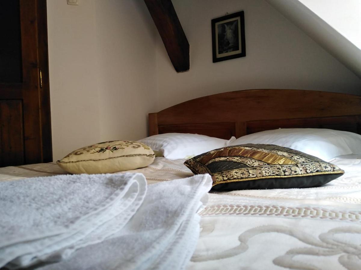 Guest house Pensiunea Lelila